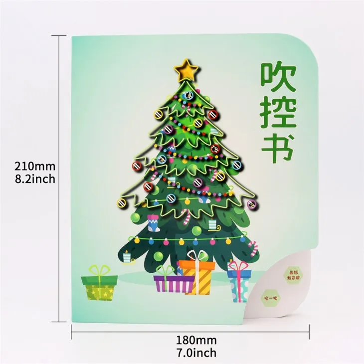 Custom Recording Music Sound Book