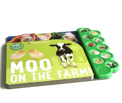 Tauler del llibre de so